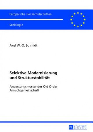 Kniha Selektive Modernisierung und Strukturstabilitaet Axel W. -O. Schmidt