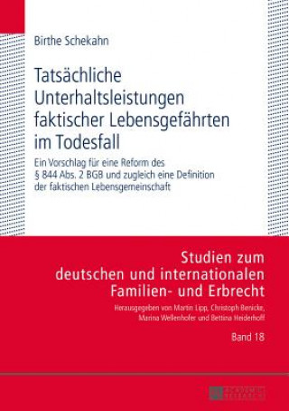 Könyv Tatsaechliche Unterhaltsleistungen Faktischer Lebensgefaehrten Im Todesfall Birthe Schekahn