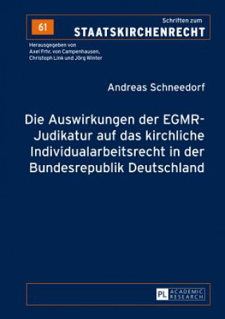 Könyv Auswirkungen Der Egmr-Judikatur Auf Das Kirchliche Individualarbeitsrecht in Der Bundesrepublik Deutschland Andreas Schneedorf