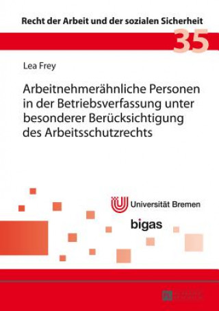 Kniha Arbeitnehmerahnliche Personen in Der Betriebsverfassung Unter Besonderer Berucksichtigung Des Arbeitsschutzrechts Lea Frey