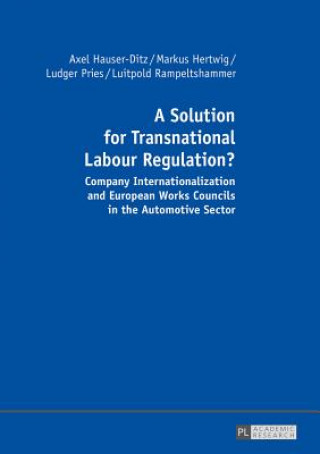 Könyv Solution for Transnational Labour Regulation? Axel Hauser-Ditz