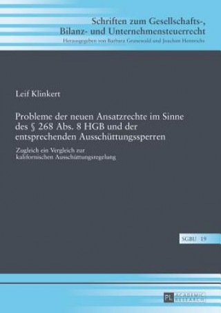 Könyv Probleme Der Neuen Ansatzrechte Im Sinne Des  268 Abs. 8 Hgb Und Der Entsprechenden Ausschuttungssperren Leif Klinkert