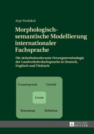 Carte Morphologisch-Semantische Modellierung Internationaler Fachsprache Ayse Yurdakul