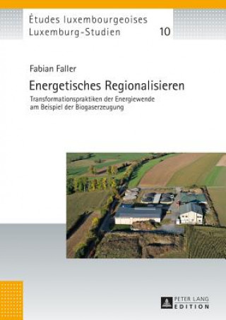 Buch Energetisches Regionalisieren Fabian Faller