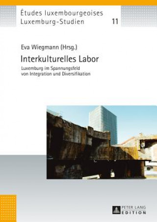 Kniha Interkulturelles Labor Eva Wiegmann