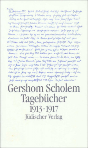 Knjiga Tagebücher 1. Halbband 1913 - 1917 Karlfried Gründer