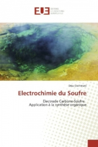 Knjiga Electrochimie du Soufre Driss Elothmani