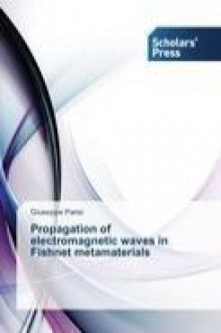 Carte Propagation of electromagnetic waves in Fishnet metamaterials Giuseppe Parisi