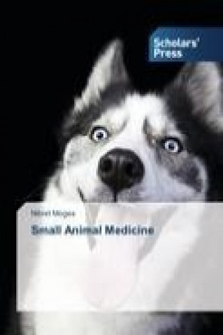 Kniha Small Animal Medicine Nibret Moges