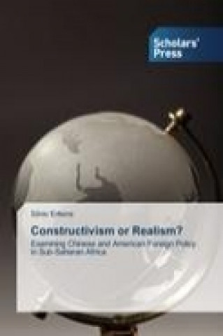 Kniha Constructivism or Realism? Silvio Erkens