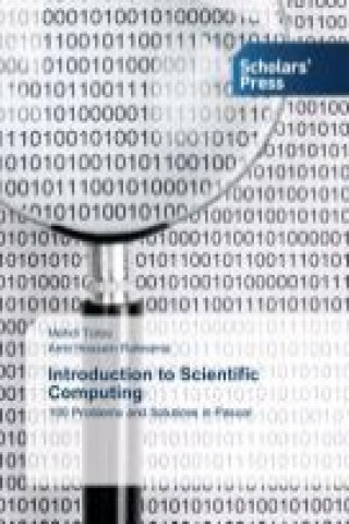 Book Introduction to Scientific Computing Mehdi Toloo