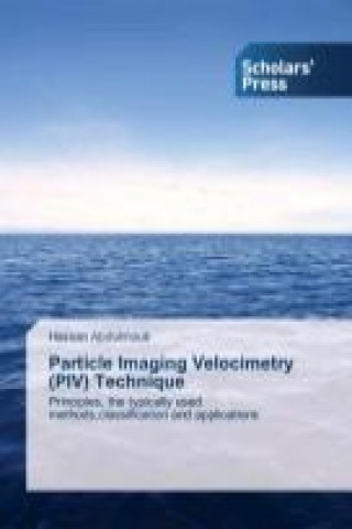 Książka Particle Imaging Velocimetry (PIV) Technique Hassan Abdulmouti