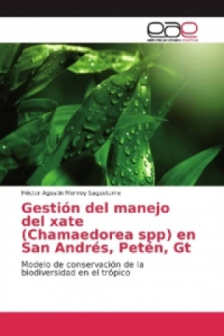 Könyv Gestión del manejo del xate (Chamaedorea spp) en San Andrés, Petén, Gt Héctor Agustín Monroy Sagastume