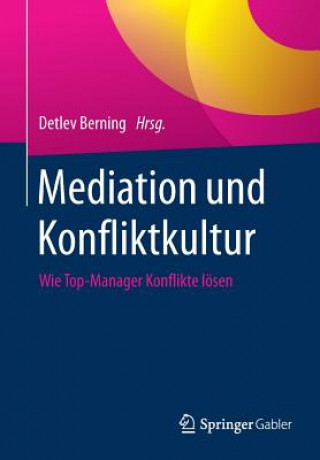 Kniha Mediation Und Konfliktkultur Detlev Berning
