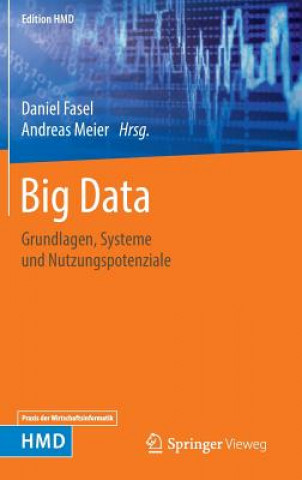 Kniha Big Data Daniel Fasel