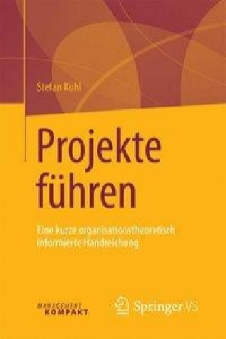 Kniha Projekte fuhren Stefan Kühl