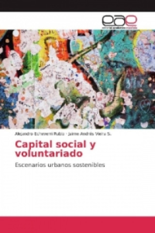 Kniha Capital social y voluntariado Alejandro Echeverri Rubio