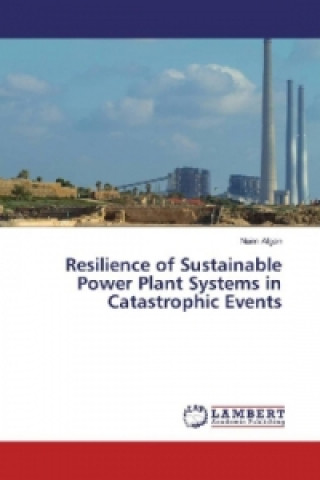 Kniha Resilience of Sustainable Power Plant Systems in Catastrophic Events Naim Afgan