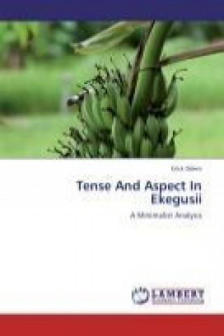 Kniha Tense And Aspect In Ekegusii Erick Odero