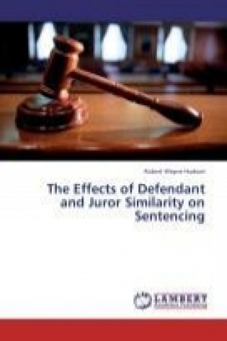 Książka The Effects of Defendant and Juror Similarity on Sentencing Robert Wayne Hudson