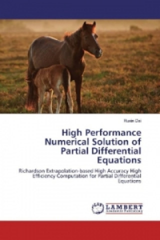 Książka High Performance Numerical Solution of Partial Differential Equations Ruxin Dai