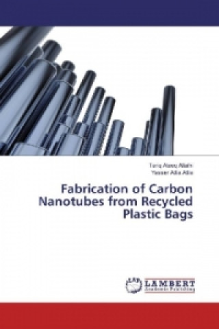 Könyv Fabrication of Carbon Nanotubes from Recycled Plastic Bags Tariq Ateeq Altalhi