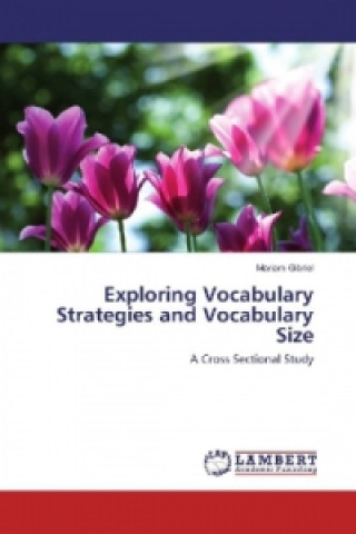 Könyv Exploring Vocabulary Strategies and Vocabulary Size Mariam Gibriel