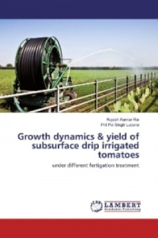 Kniha Growth dynamics & yield of subsurface drip irrigated tomatoes Rajesh Kumar Rai