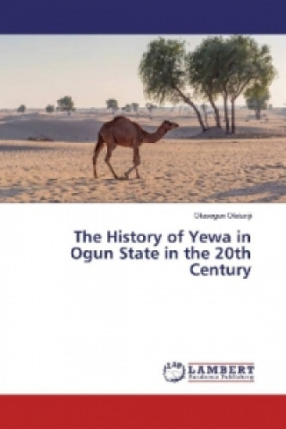 Kniha The History of Yewa in Ogun State in the 20th Century Olusegun Olatunji