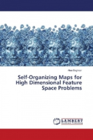 Knjiga Self-Organizing Maps for High Dimensional Feature Space Problems Alaa Sagheer