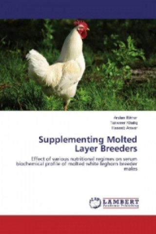 Kniha Supplementing Molted Layer Breeders Arslan Iftikhar