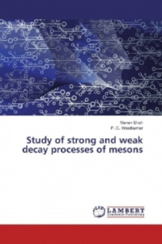 Könyv Study of strong and weak decay processes of mesons Manan Shah