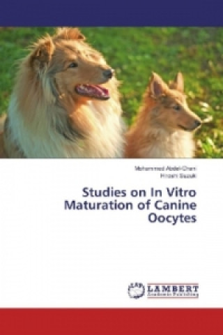 Kniha Studies on In Vitro Maturation of Canine Oocytes Mohammed Abdel-Ghani