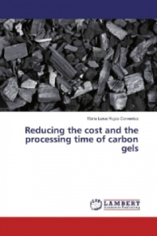 Carte Reducing the cost and the processing time of carbon gels Maria Luisa Rojas-Cervantes