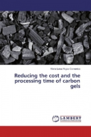 Kniha Reducing the cost and the processing time of carbon gels Maria Luisa Rojas-Cervantes