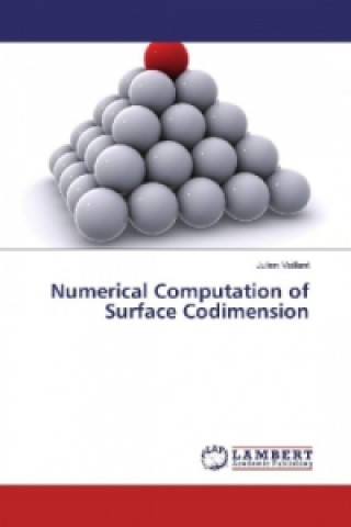 Libro Numerical Computation of Surface Codimension Julien Vaillant