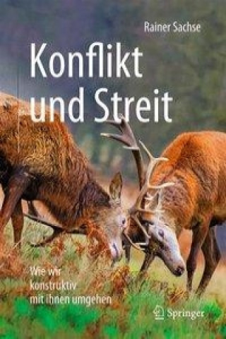 Book Konflikt und Streit Rainer Sachse