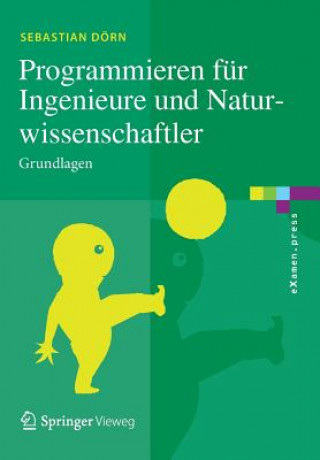 Kniha Programmieren fur Ingenieure und Naturwissenschaftler Sebastian Dörn