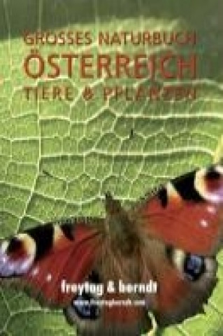 Kniha Großes Naturbuch Österreich Tiere und Pflanzen Patrik Hierner