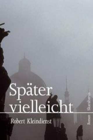 Book Später vielleicht Robert Kleindienst