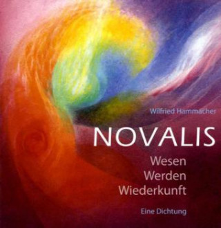 Könyv Novalis Wilfried Hammacher