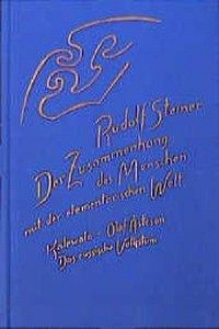 Könyv Der Zusammenhang des Menschen mit der elementarischen Welt Rudolf Steiner
