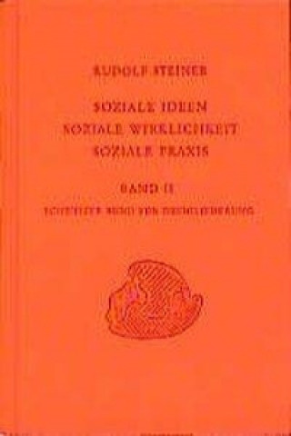 Kniha Soziale Ideen, Soziale Wirklichkeit, Soziale Praxis 2 Rudolf Steiner