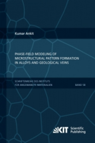 Knjiga Phase-field modeling of microstructural pattern formation in alloys and geological veins Kumar Ankit