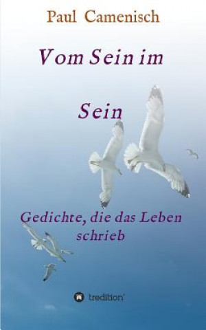 Book Vom Sein im Sein Paul Camenisch