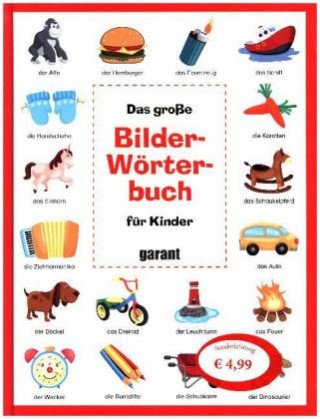 Kniha Das große Bilderwörterbuch für Kinder 