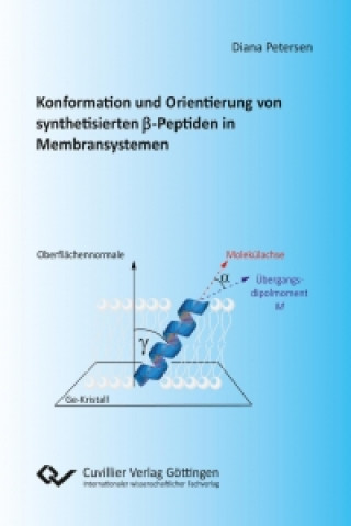 Könyv Konformation und Orientierung von synthetisierten ß-Peptiden in Membransystemen Diana Petersen