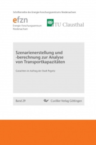 Könyv Szenarienerstellung und -berechnung zur Analyse von Transportkapazitäten. Gutachten im Auftrag der Stadt Pegnitz 