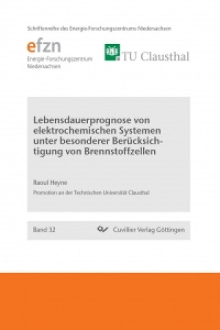 Książka Lebensdauerprognose von elektrochemischen Systemen unter besonderer Berücksichtigung von Brennstoffzellen Raoul Heyne