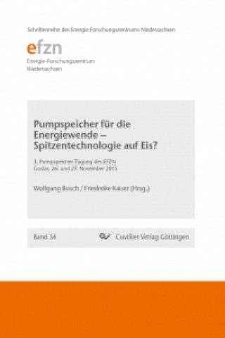 Książka Pumpspeicher für die Energiewende - Spitzentechnologie auf Eis? Friederike Kaiser